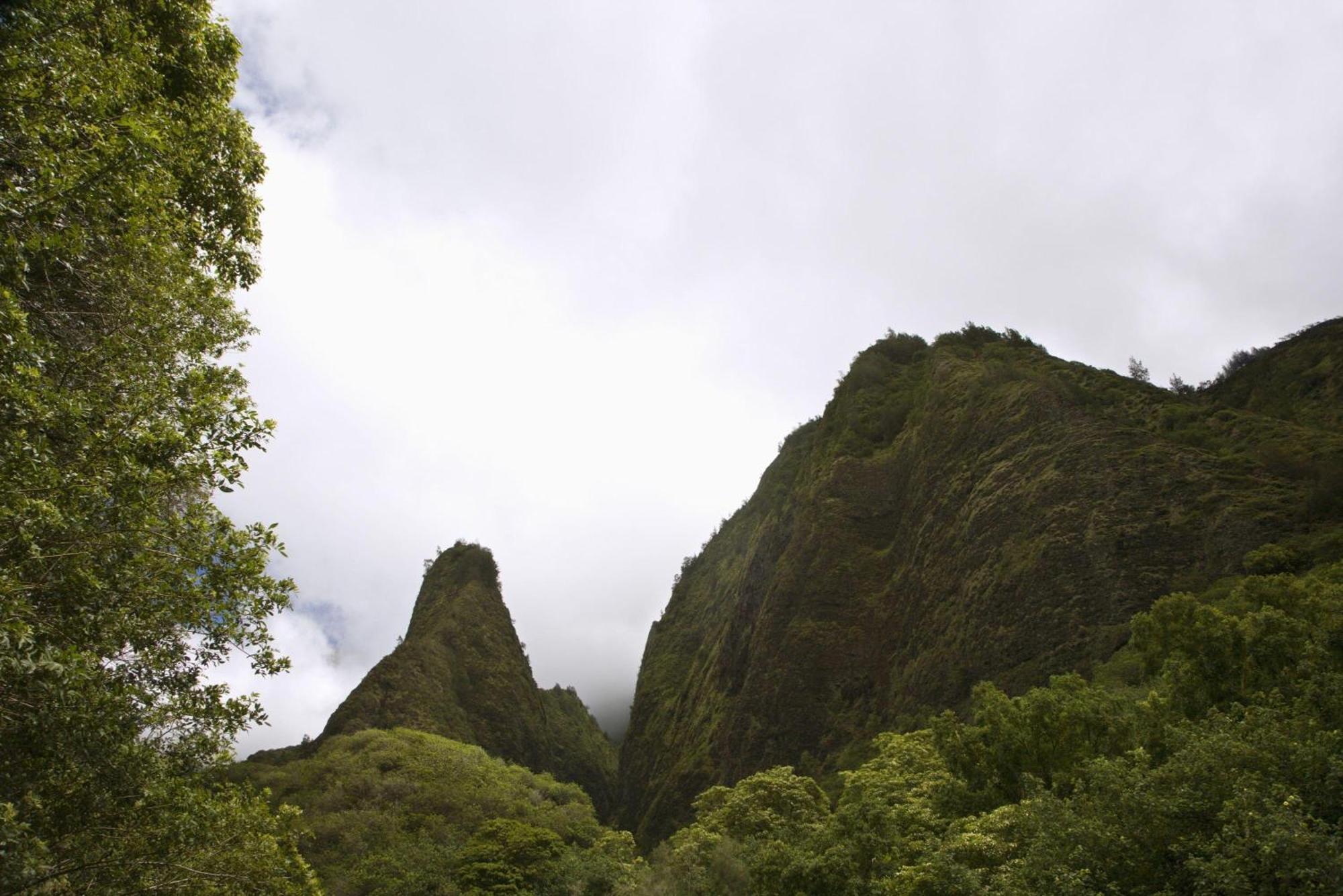 Willa 233 Market Street Unit A Wailuku Zewnętrze zdjęcie